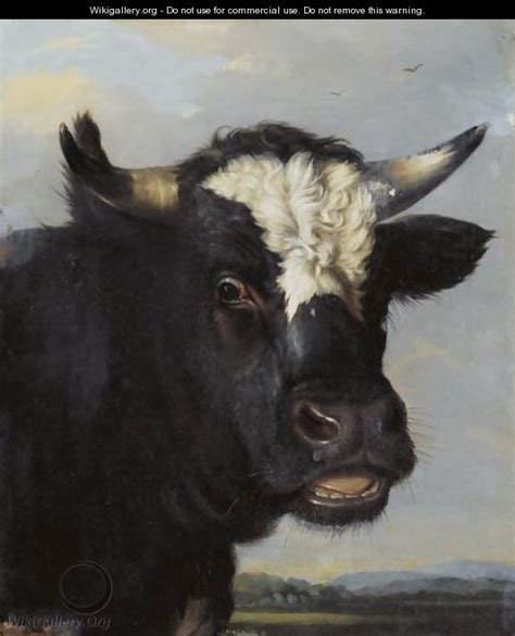 Head Of A Bull After Paulus Potter The Largest