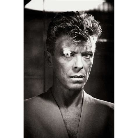 David Bowie Eye 1991 Aluminium Labyrinth Art Gallery