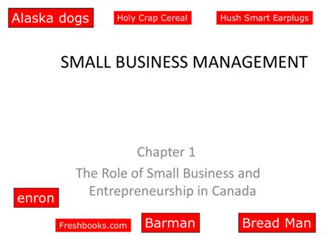 Small Business Management Chapter 1 The Role Of Small Business And