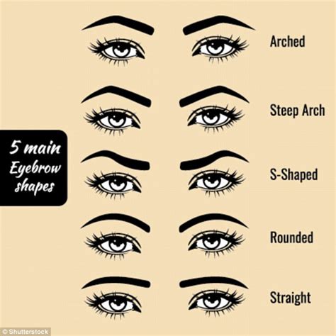 Celebrity Brow Expert Shares The Brow Shapes That Are Right For Your Face Daily Mail Online