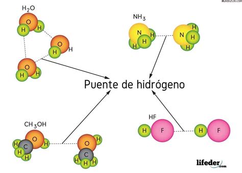 Enlace De Hidrógeno Características Ejemplos Mundo2030