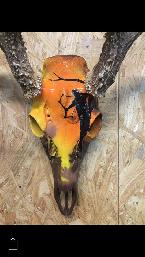 Pin By Tara Skelton On Deer Skulls Deer Skull Decor Animal Skull