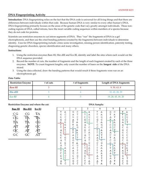 Dna fingerprinting can be used to: Dna Fingerprinting Worksheet Answers : Dna Fingerprint ...