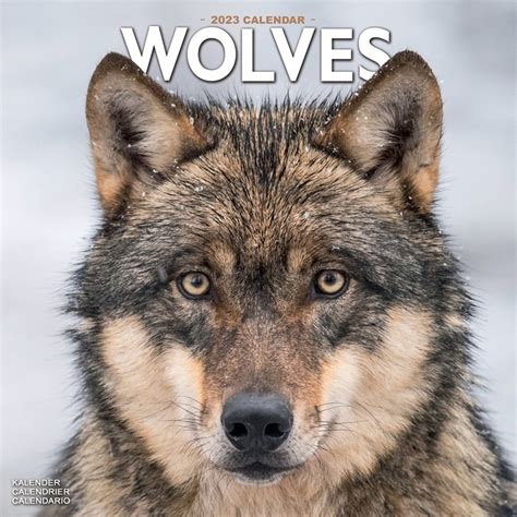 Wolves Wall Calendar 2023