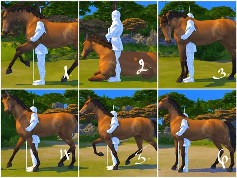 My Horse And Me Pose Pack Katverse