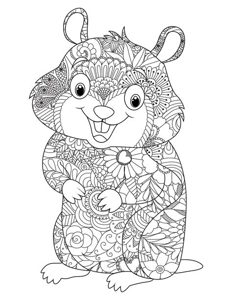 Awesome Hamster Para Colorir Imprimir E Desenhar Colorir Me