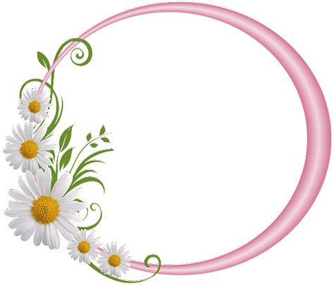 Daisy Clipart Vine Daisy Vine Transparent Free For Download On