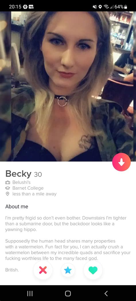The Best And Worst Tinder Profiles And Conversations In The World 296