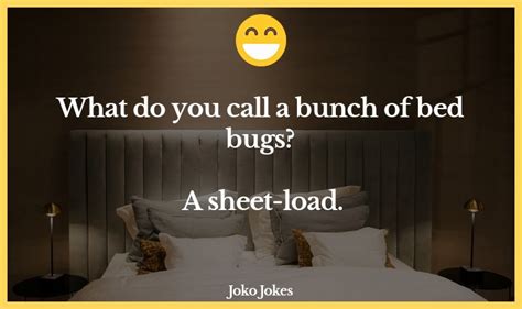 13 Bed Bug Jokes That Will Make You Laugh Out Loud