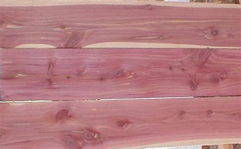 Aromatic Red Cedar Board 12 X 4 X 48 Woodchucks Wood