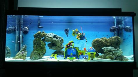 Quality saltwater aquarium supplies with expert advice. I'm all for creativity but... uhh... legos? - General ...