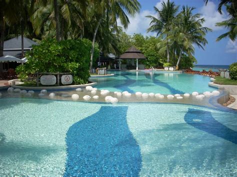 Der Pool Royal Island Eydhafushi • Holidaycheck Baa Atoll Malediven