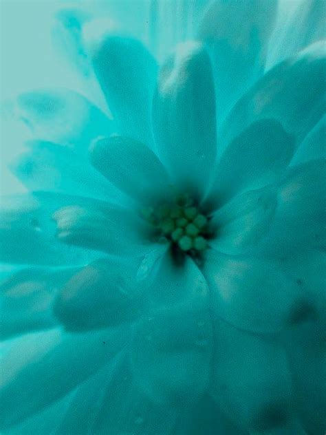 Vibe me hard and make me wet/creamy!! Pin by Moovanse * on Bleu ~ Turquoise ~ Vert Emeraude ...