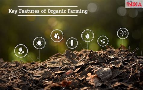 Organic Farming In India Organic Farming Definition Methods