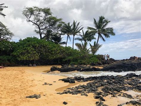 Paako Beach Secret Cove Wailea 2020 All You Need To Know Before You Go With Photos