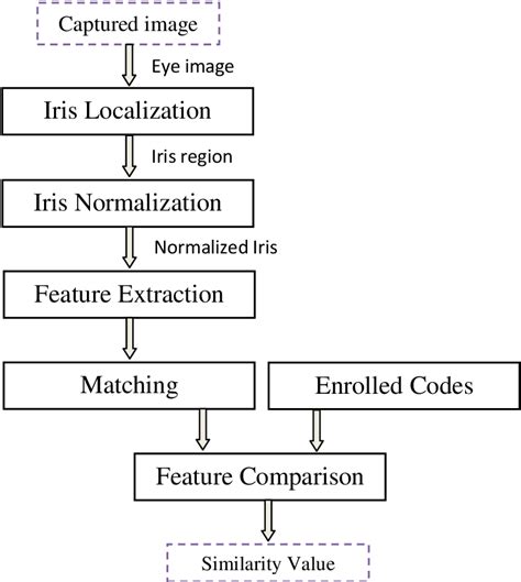 Figure 13 From Localizing Non Ideal Irises Via Chan Vese Model And