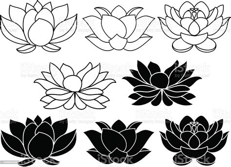 Download and use 10,000+ lotus flower stock photos for free. Vector Lotus Flowers Stock Illustration - Download Image ...