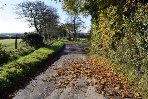 Fallen Leaves Along Rushill Road © Kenneth Allen Cc By Sa20