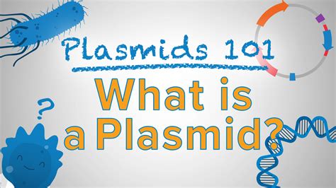 The most frequently encountered limitation is one of size. Plasmids 101: What is a plasmid?
