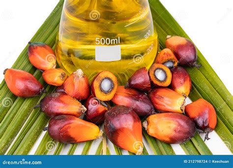 Close Up On Oil Palm Fruits With Biofuel In Beaker In Laboratory Stock