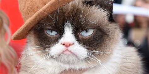 Down With Grumpy Cat Zero Hedge