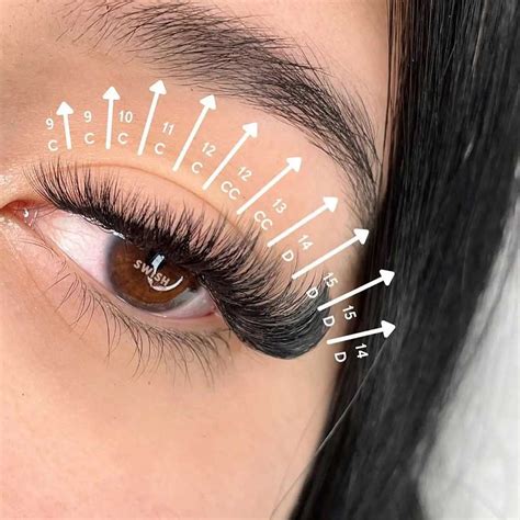 Cat Eyelash Extensions All About The Most Popular Style