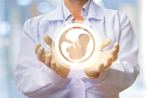 Maternity Care Models Part 2 Herabeat Blog