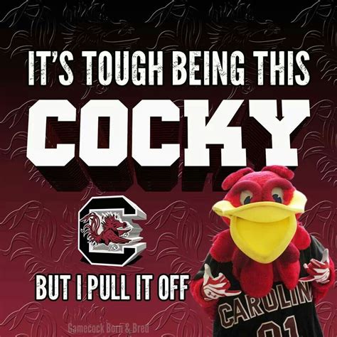 pin by deborah glover on all gamecock all the time south carolina gamecocks football