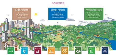 Forests A Nature Based Solution For Sustainable And Resilient Cities
