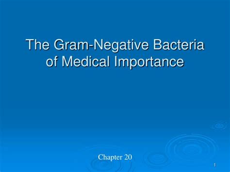 Ppt The Gram Negative Bacteria Of Medical Importance Powerpoint Presentation Id