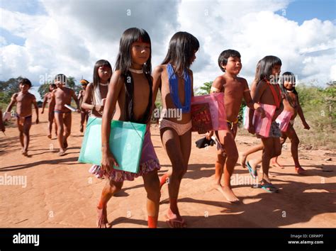 Escuela Para Los Indios Xingu En El Amazonas Brasil Fotografía De Stock Alamy