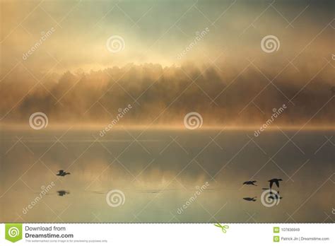 Fog And Ducks On Minnesota Morning Stock Image Image Of Reflection