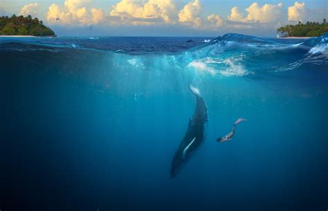 This is certainly not the first a wave of volatility that has hit the market and by the looks of things, it will however, there have been recent developments in the crypto space with coinbase denying the rumors of adding ripple to its exchange, and. This is Why Whales Can't Market Dump Bitcoin Without Risk ...