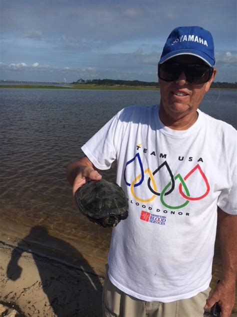 Searching For Terrapins In The Florida Panhandle Ufifas Extension