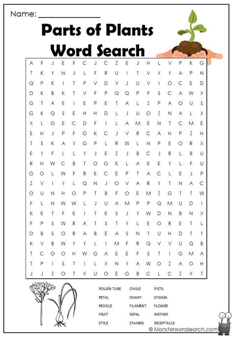 Parts Of Plants Word Search Monster Word Search
