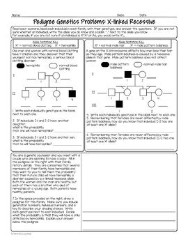 Genetics pedigree worksheet answer key huntington s disease. Answer Key Pedigree Worksheet : Pedigree Worksheet Key ...