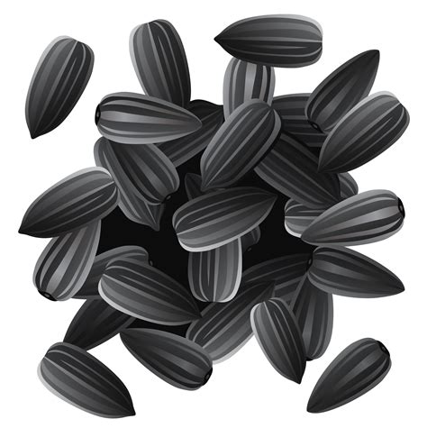 Sunflower Seeds Clipart 20 Free Cliparts Download Images