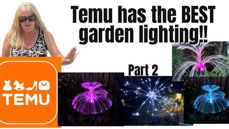 Temu Unboxing Temu Has The Best Garden Lighting Garden Decor