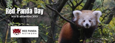 The Tale Of Parco Natura Viva And The Red Panda Tail