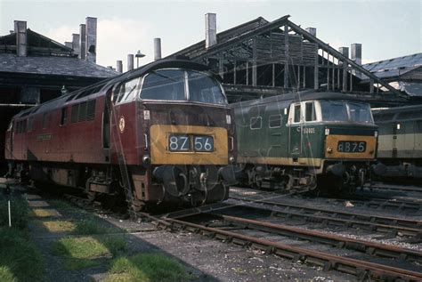Rail Online Class 52 Western D1014 1969 06 08 Swindon