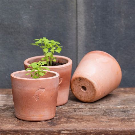 Buy Terracotta Seedling Pots Set Of 3