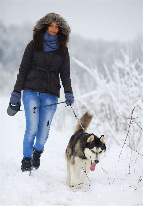 Alaskan Husky Names Dogappy