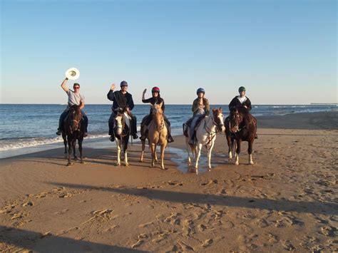 Virginia Beach Horseback Beach Horseback Riding Virginia Beach