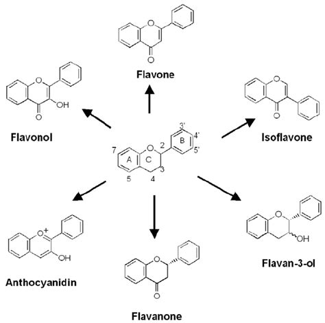 Basic Structure Of Flavonoids Download Scientific Diagram