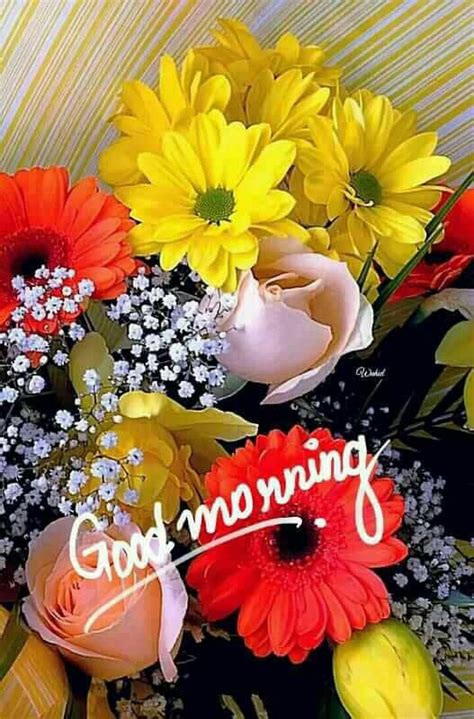 Sign In Good Morning Flowers Good Morning Beautiful Pictures Lovely