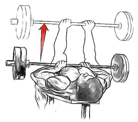 This allows more emphasis on the triceps and. Close Grip Bench Press | International Drug Free Athletics ...