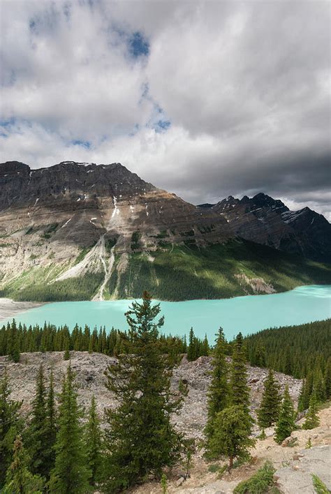 Icefields Parkway Bow Pass Peyto Lake By John Elk Iii