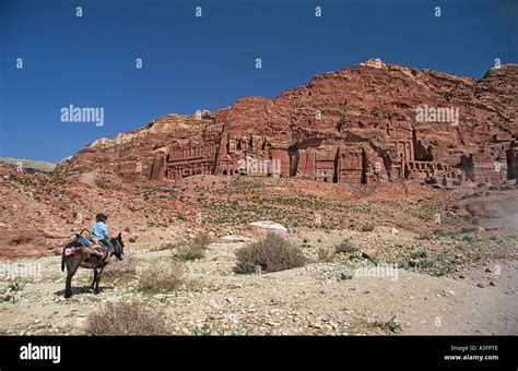 Bedouin Child On A Donkey Facing Wadi Musa A Cliff Face Of Nabatean