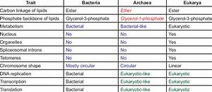 What Are The Similarities And Differences Between Archaea