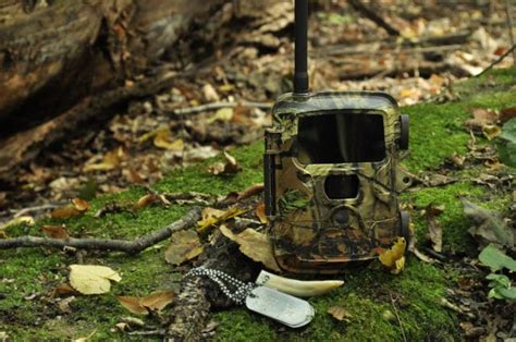 Live Wildlife Cameras For Forest Guards